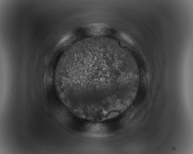 X0000085830507200703231423