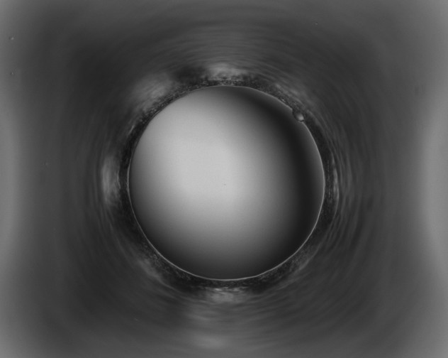 X0000085830508200703231423