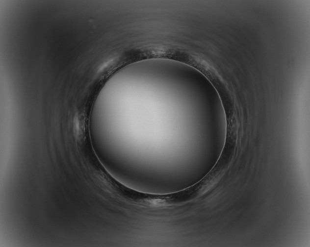 X0000085830509200703231423