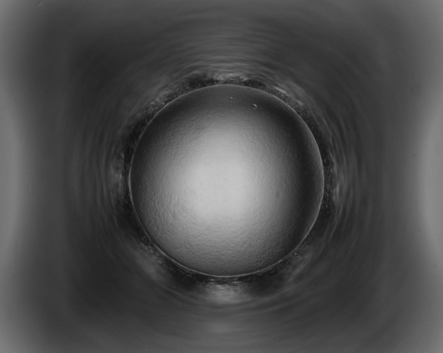 X0000085830510200703231423