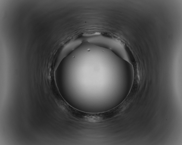 X0000085830512200703231423