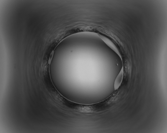 X0000085830513200703231423