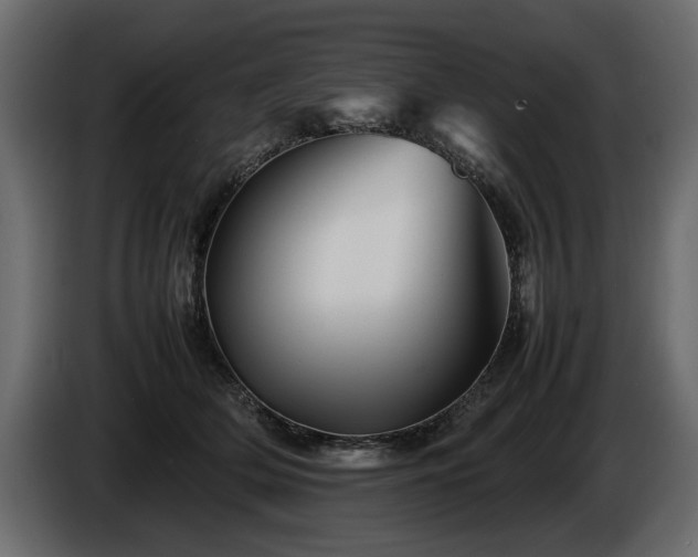 X0000085830514200703231423