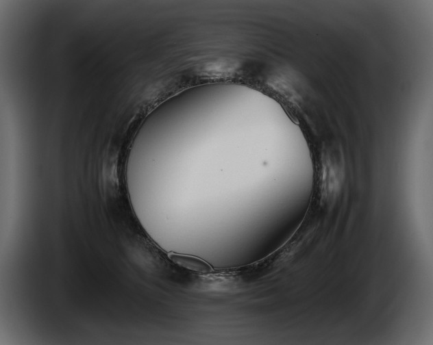 X0000085830516200703231423