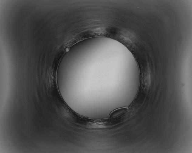 X0000085830518200703231423