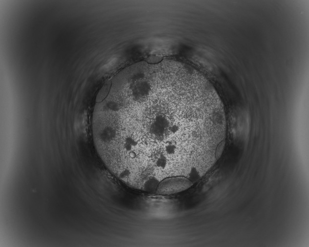 X0000085830519200703231423