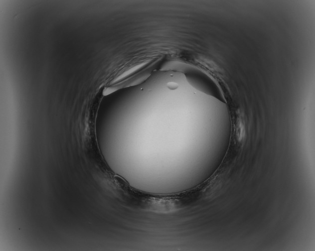 X0000085830520200703231423