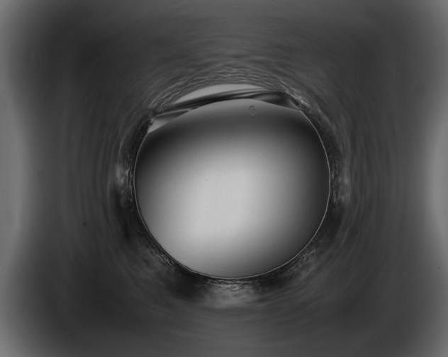 X0000085830521200703231423