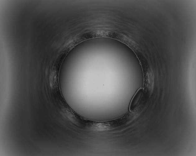 X0000085830522200703231423