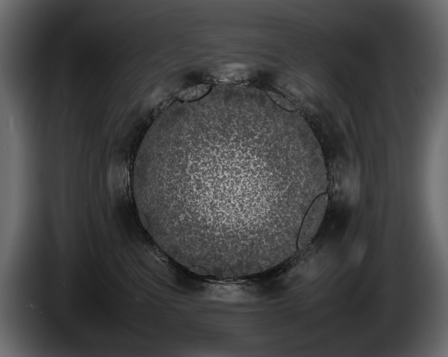 X0000085830523200703231423