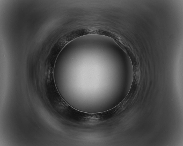 X0000085830525200703231423