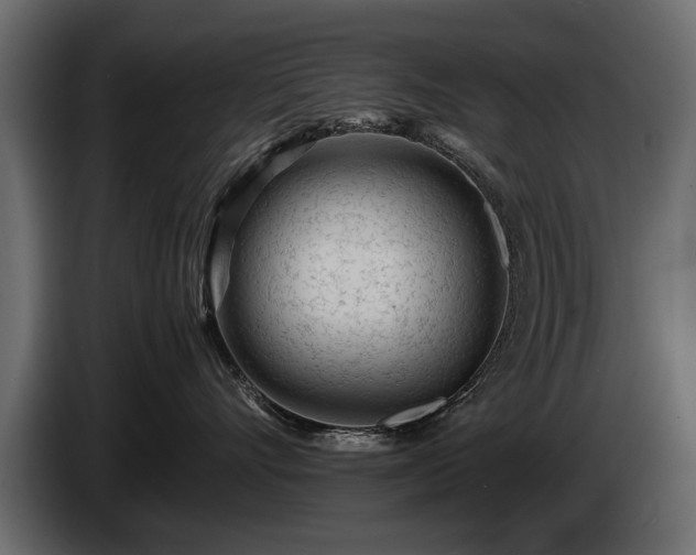 X0000085830528200703231423