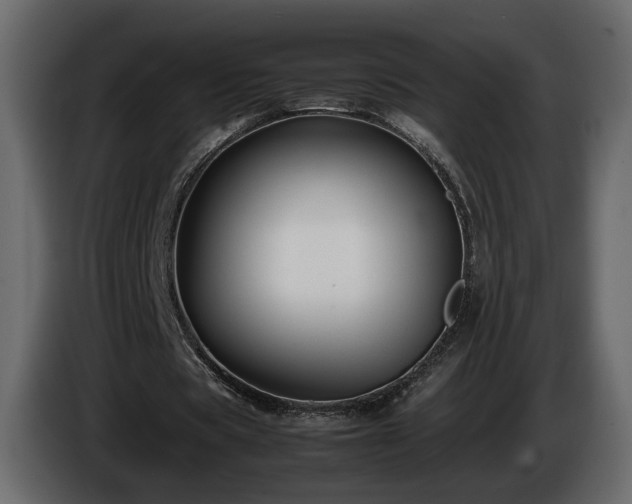 X0000085830529200703231422