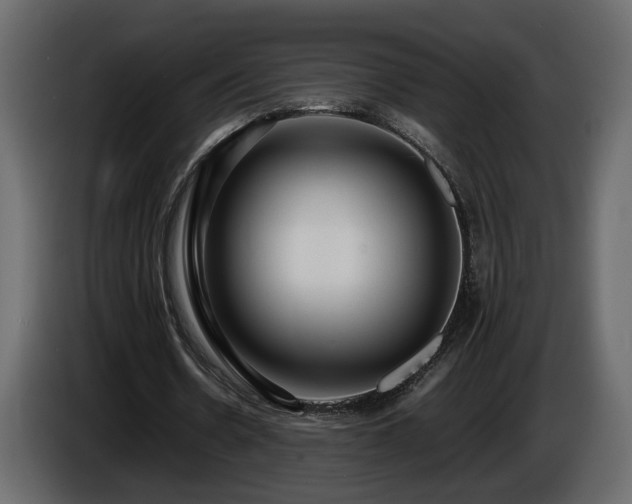 X0000085830530200703231422