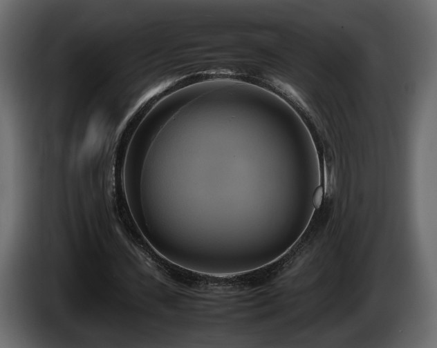 X0000085830531200703231422