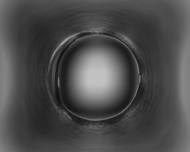 X0000085830532200703231422