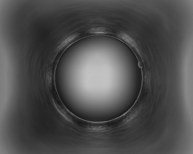 X0000085830533200703231422