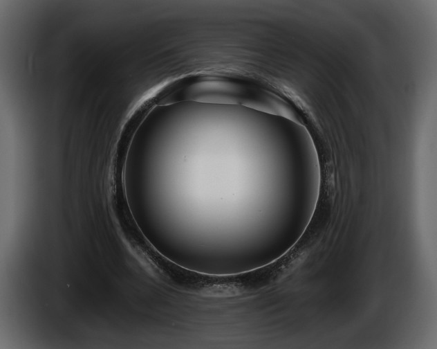 X0000085830536200703231422