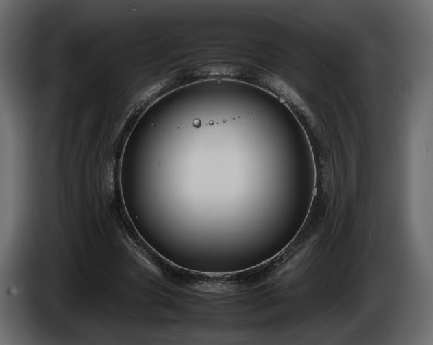 X0000085830537200703231422