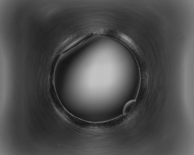 X0000085830538200703231422