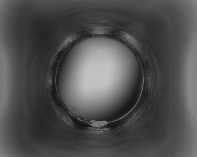 X0000085830539200703231422