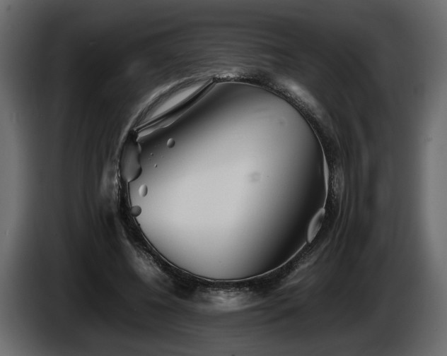 X0000085830540200703231422