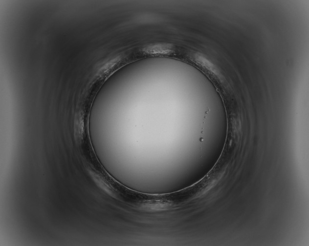 X0000085830541200703231422