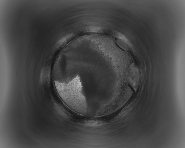 X0000085830542200703231422