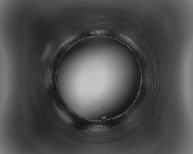 X0000085830543200703231422