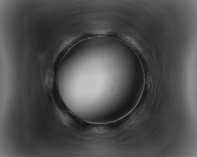 X0000085830544200703231422