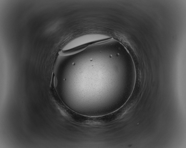 X0000085830545200703231422