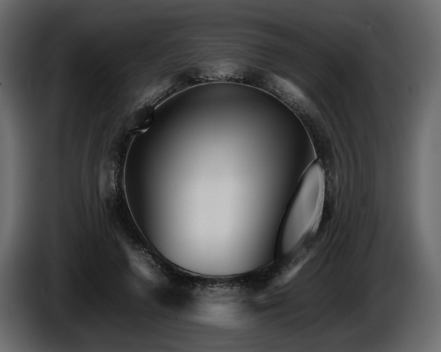 X0000085830546200703231422