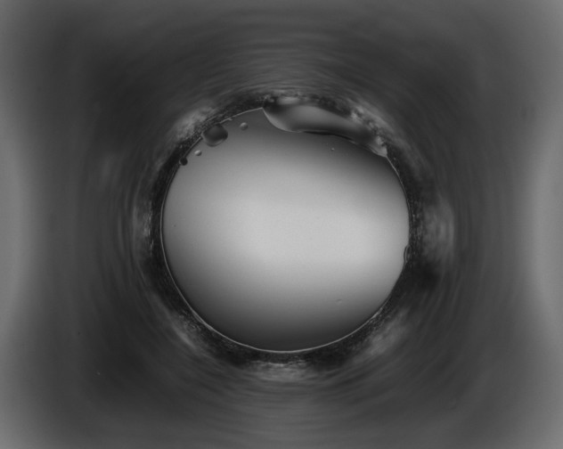 X0000085830548200703231422