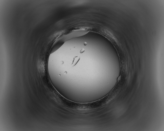 X0000085830549200703231422