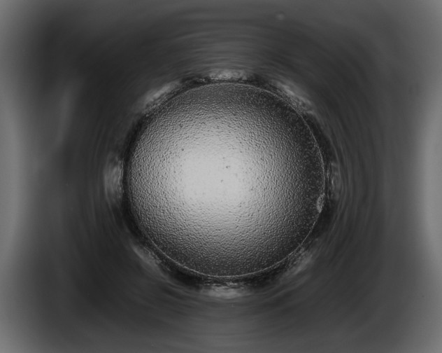 X0000085830550200703231422