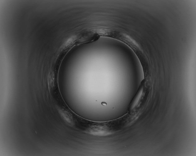 X0000085830552200703231423