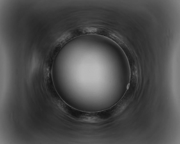 X0000085830555200703231423