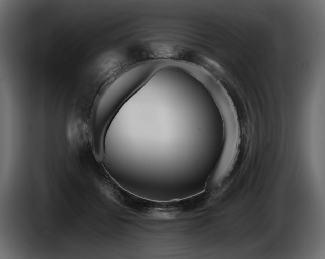 X0000085830556200703231423