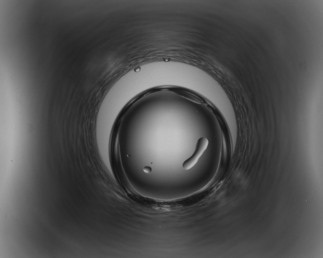 X0000085830558200703231423