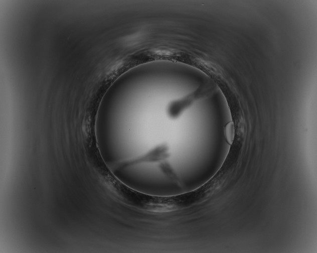 X0000085830559200703231423