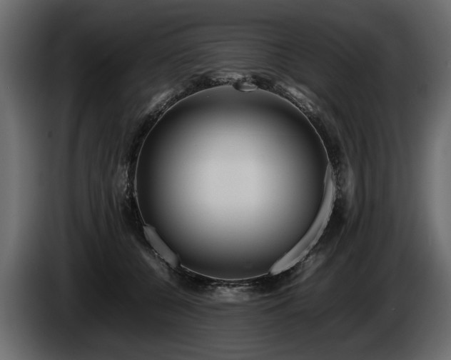 X0000085830560200703231423