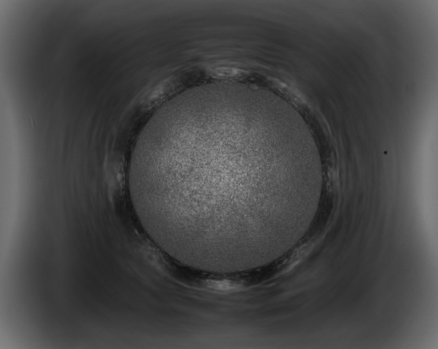 X0000085830561200703231423