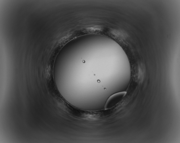 X0000085830563200703231423