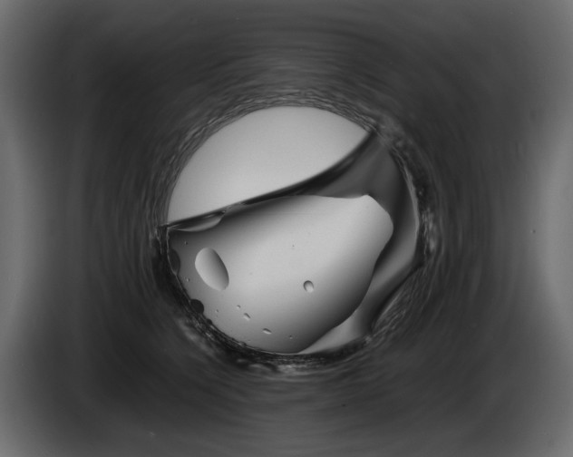 X0000085830564200703231423