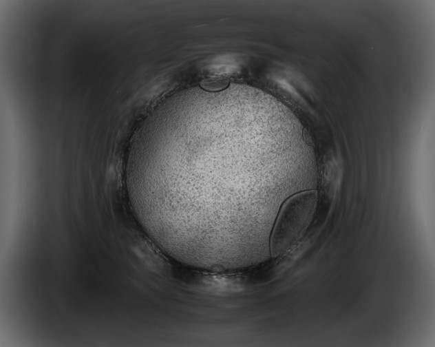 X0000085830565200703231423