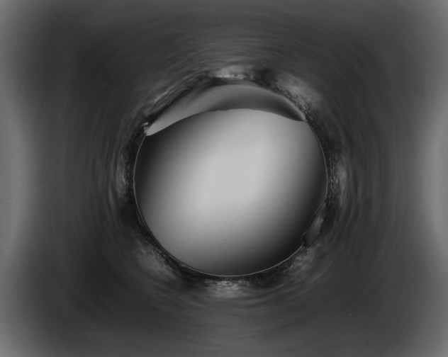 X0000085830566200703231423