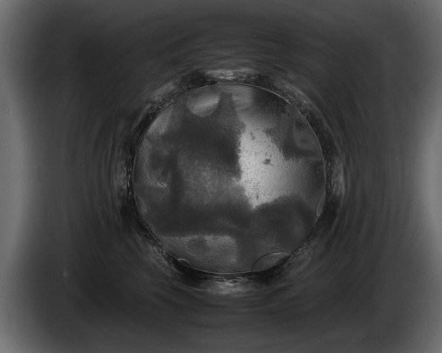 X0000085830569200703231423