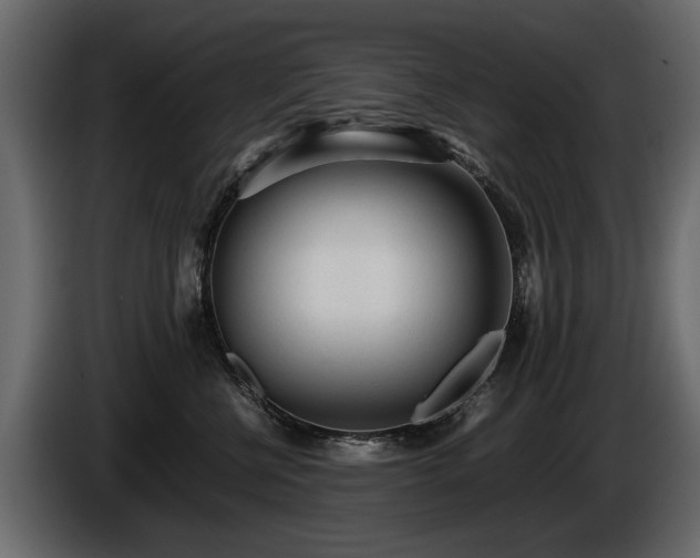 X0000085830570200703231423