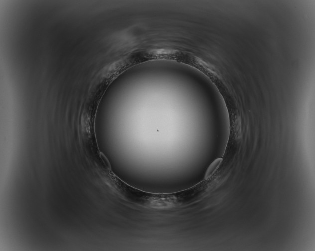 X0000085830571200703231423