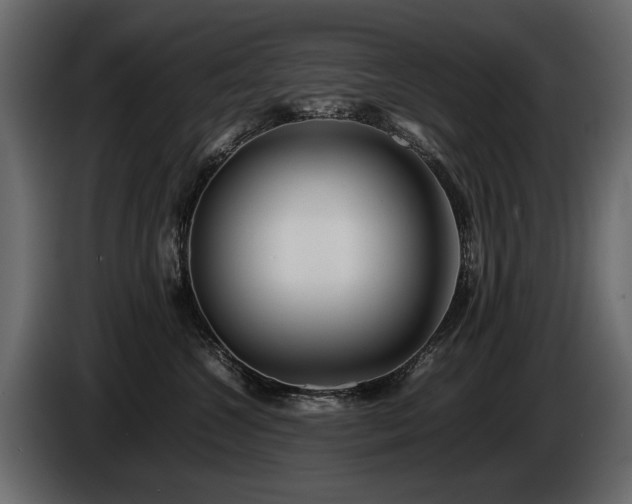 X0000085830572200703231423